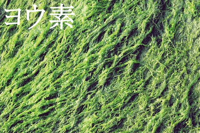 ヨウ素　海藻